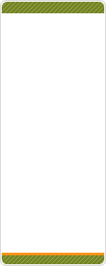 No,1����L���v�`���[�\�t�g�̃J���^�W�A�X�^�W�I